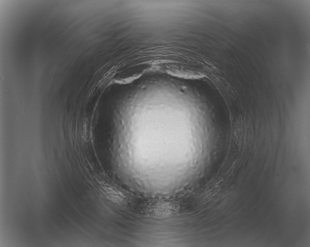 X0000056370330200509021821