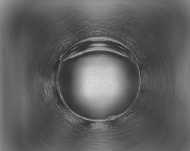 X0000056370331200509021821