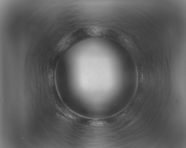 X0000056370332200509021821