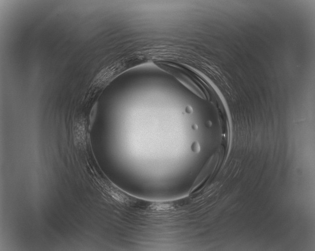 X0000056370333200509021821