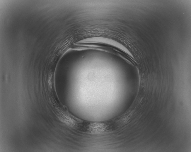 X0000056370334200509021821