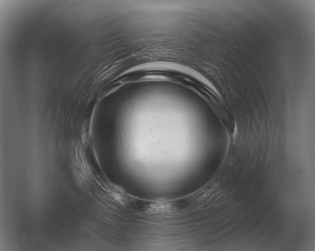 X0000056370335200509021821