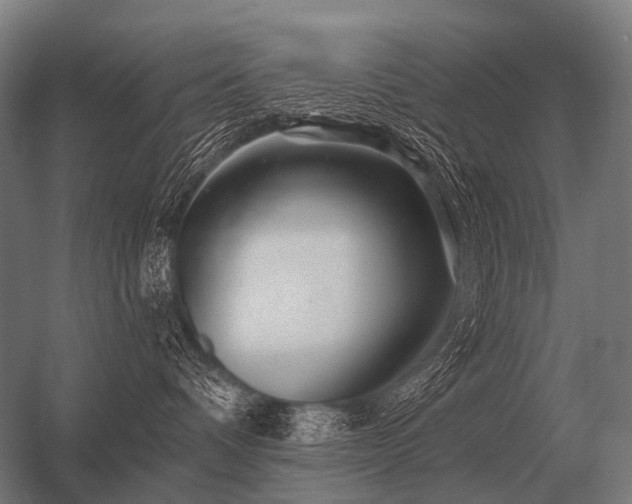 X0000056370336200509021821