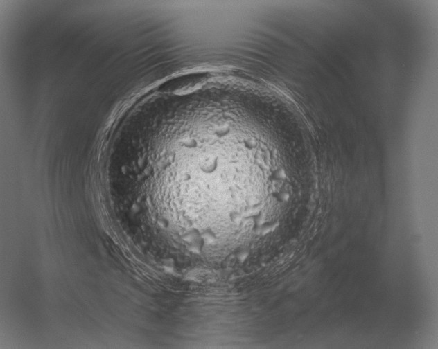 X0000056370337200509021820