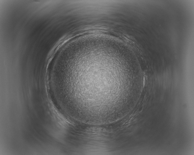 X0000056370339200509021820