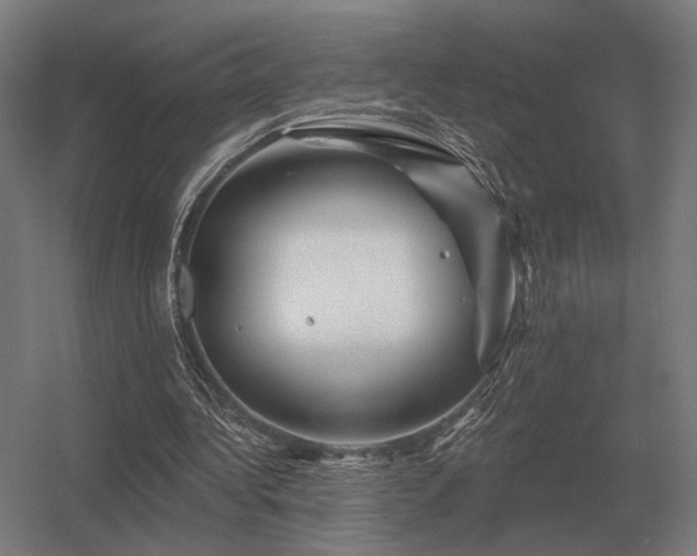 X0000056370340200509021820