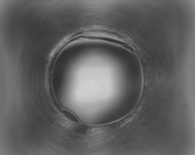 X0000056370341200509021820