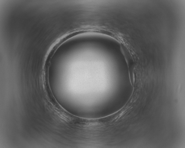 X0000056370342200509021820