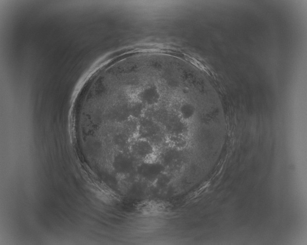 X0000056370343200509021820