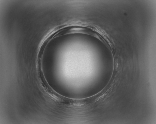 X0000056370344200509021820