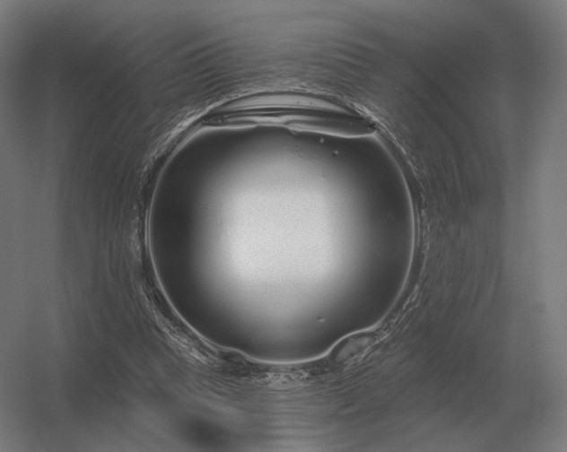 X0000056370345200509021820