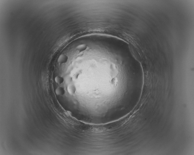 X0000056370346200509021820