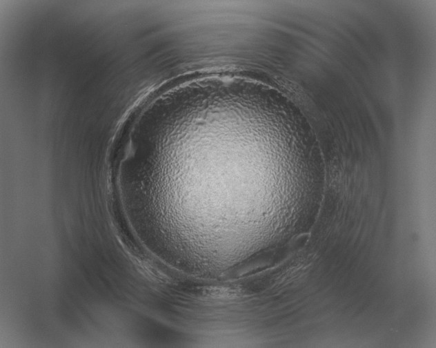 X0000056370347200509021820