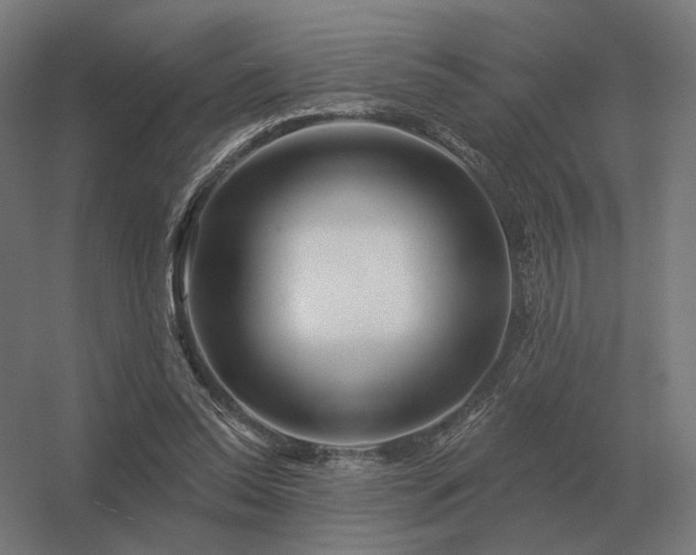 X0000056370350200509021820