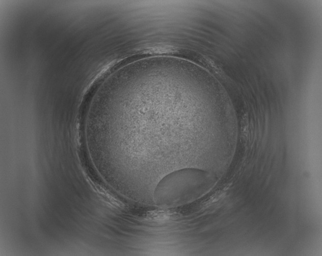 X0000056370351200509021820