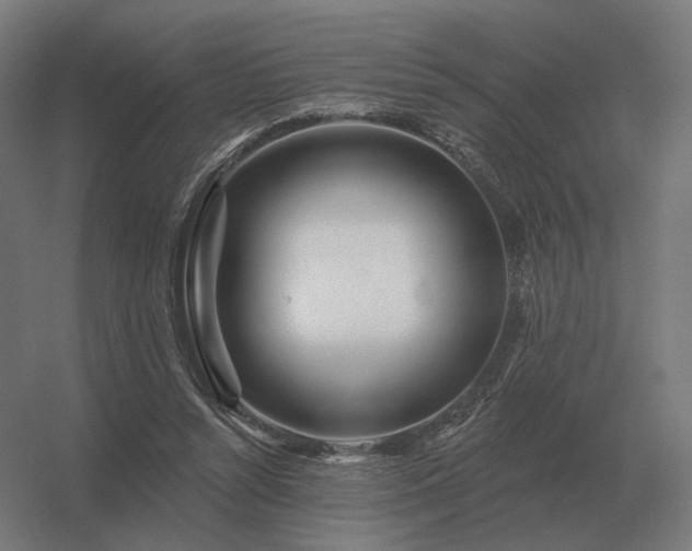 X0000056370352200509021820