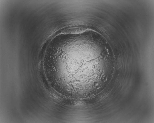 X0000056370355200509021820