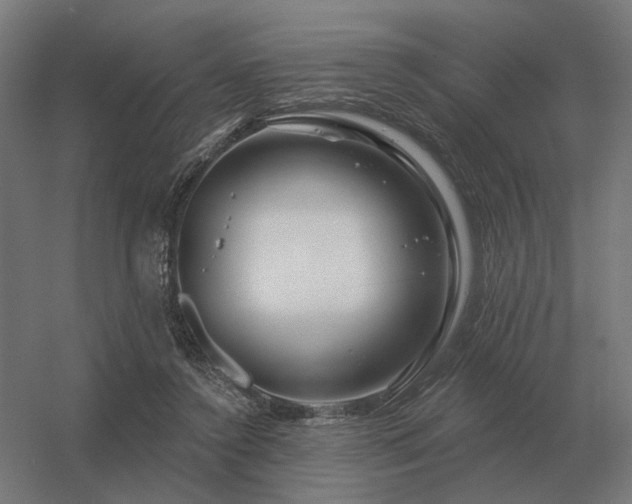 X0000056370356200509021820