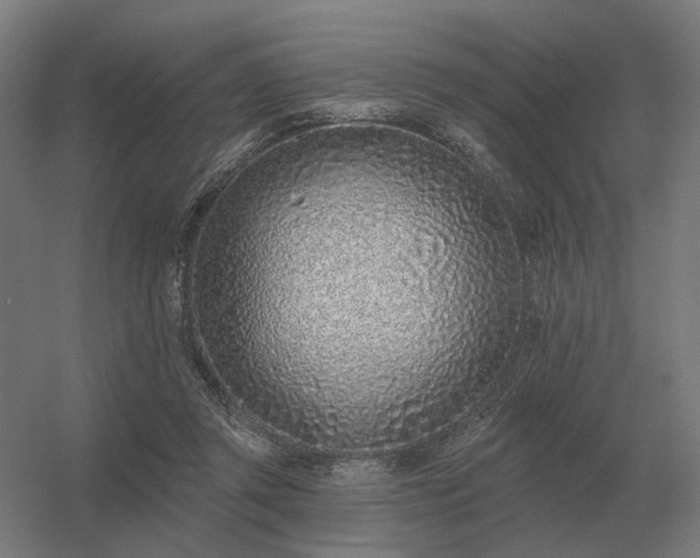 X0000056370357200509021820