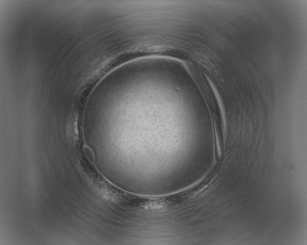 X0000056370358200509021820