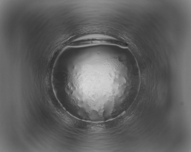 X0000056370359200509021820