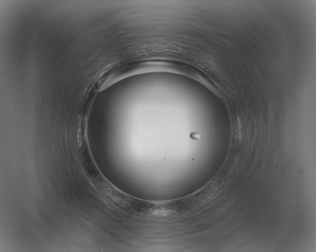 X0000056370360200509021820