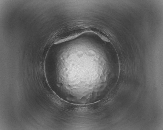 X0000056370361200509021820