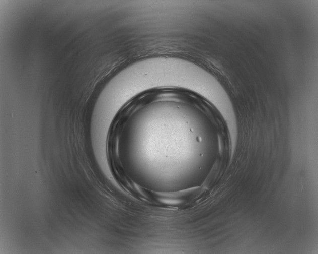 X0000056370362200509021820