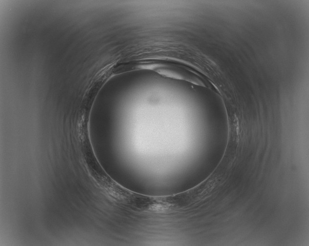 X0000056370364200509021820