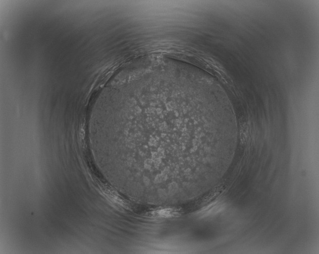 X0000056370365200509021820