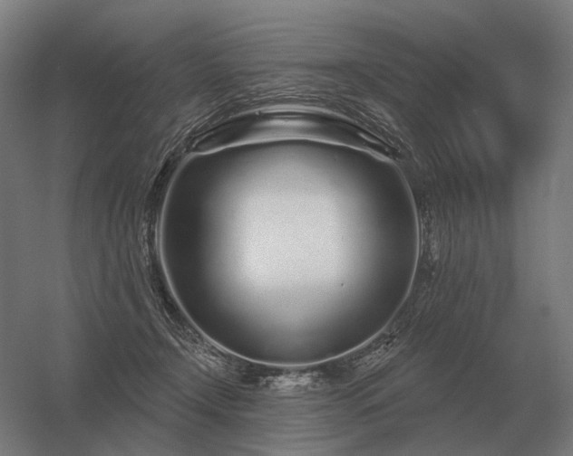 X0000056370366200509021820