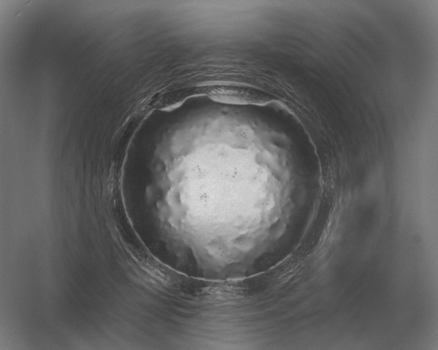 X0000056370367200509021820