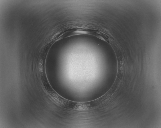 X0000056370368200509021820