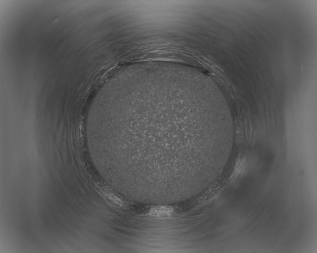 X0000056370369200509021820