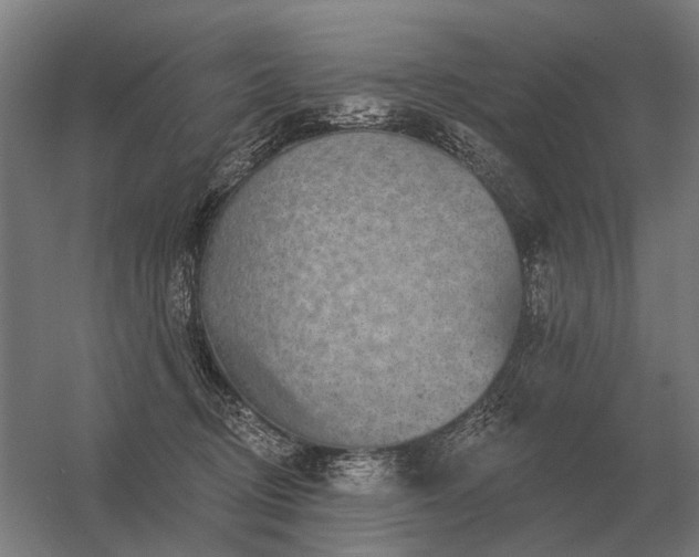 X0000056370370200509021820