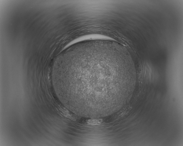 X0000056370373200509021820