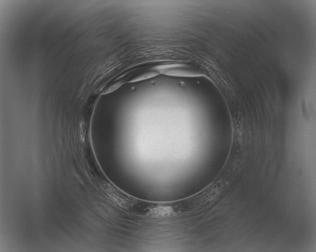 X0000056370374200509021820