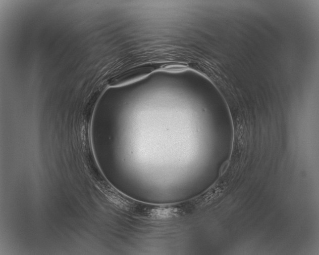 X0000056370375200509021820