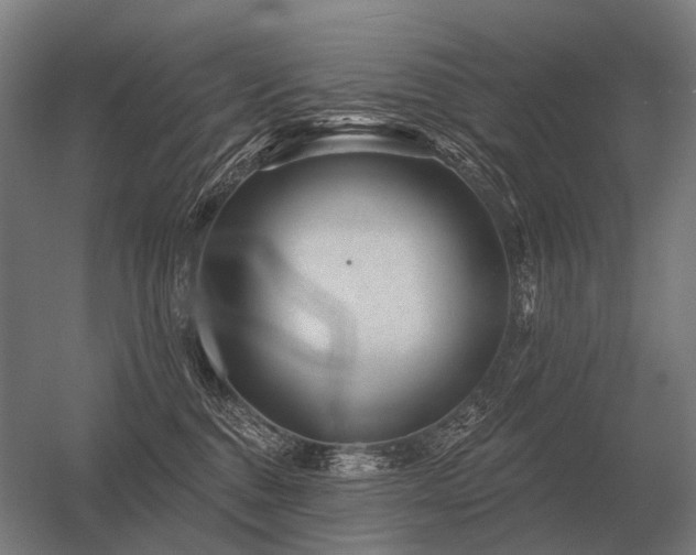 X0000056370376200509021820