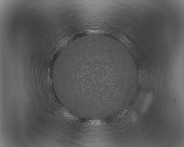 X0000056370377200509021820