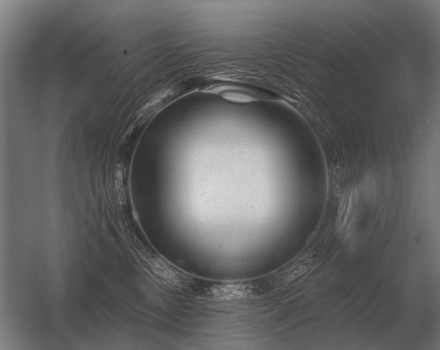 X0000056370378200509021821