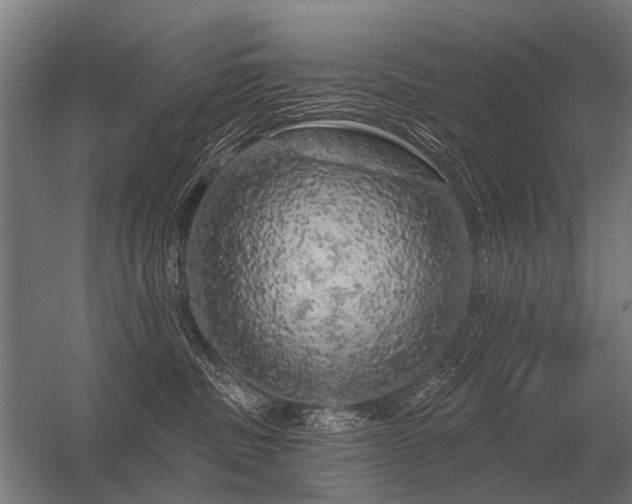 X0000056370379200509021821