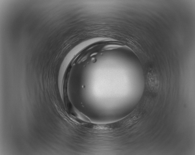 X0000056370380200509021821