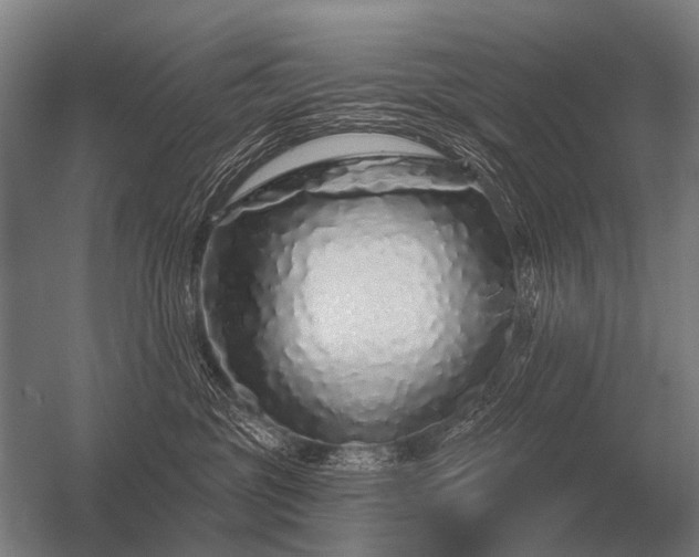 X0000056370381200509021821