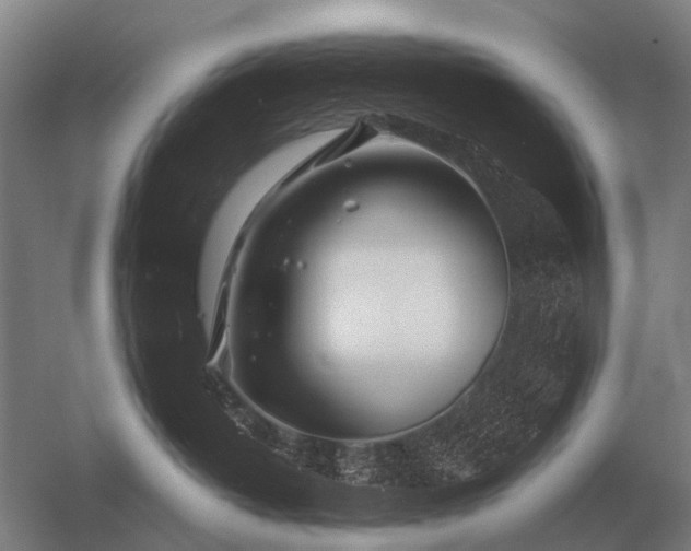 X0000056370382200509021821