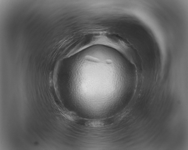 X0000056370383200509021821