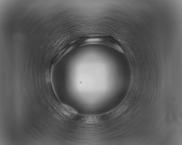 X0000056370384200509021821