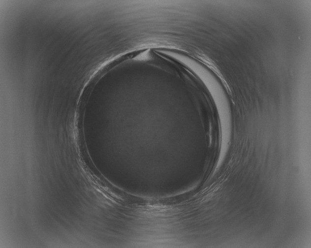 X0000056370387200509021820