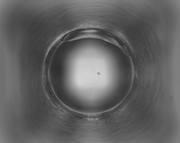 X0000056370388200509021820