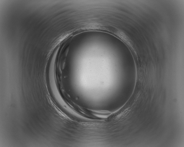 X0000056370389200509021820